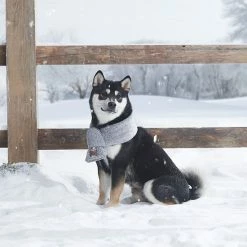 Koolaburra By UGG Cooper Sherpa Pet Scarf 2 Koolaburra By UGG Cooper Sherpa Pet Scarf -Koolaburra shop unnamed file 1424